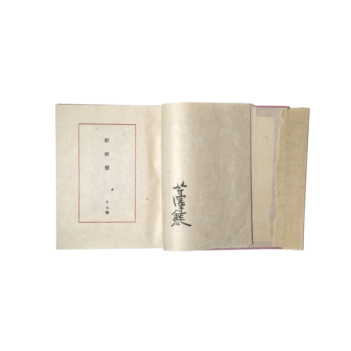 Ryukyu no Katatsuke