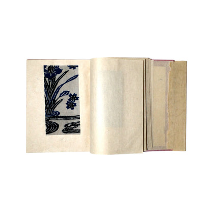 Ryukyu no Katatsuke